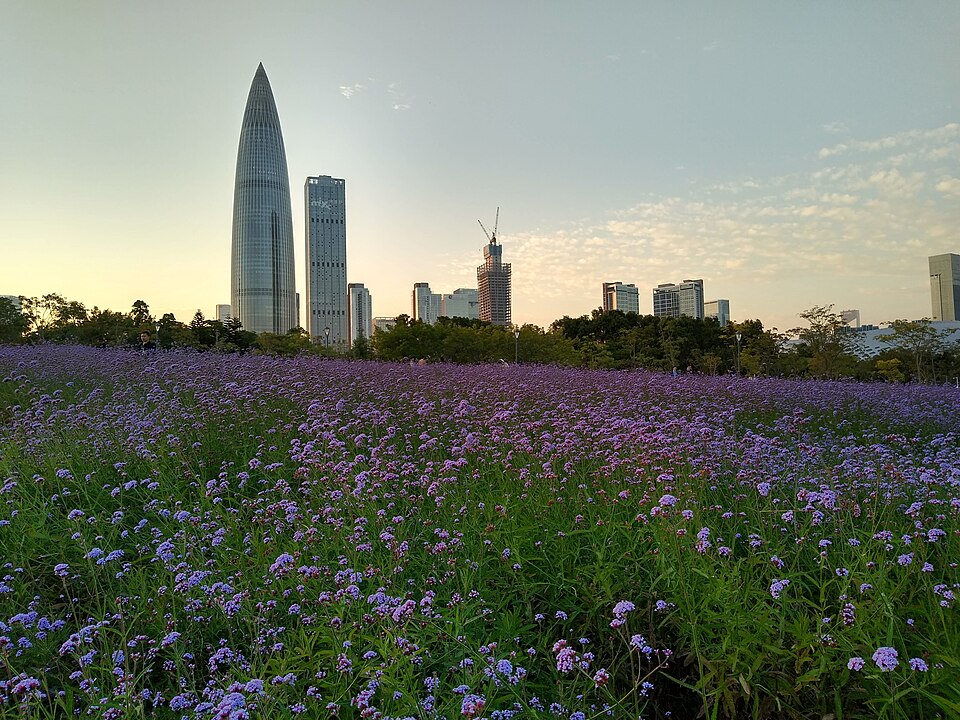 Shenzhen Bay Park in Shenzhen